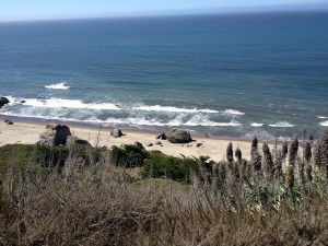 stinsonbeach2