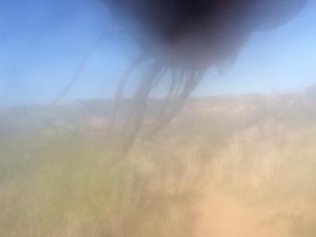 blurry-run-picture-lsrc-2016