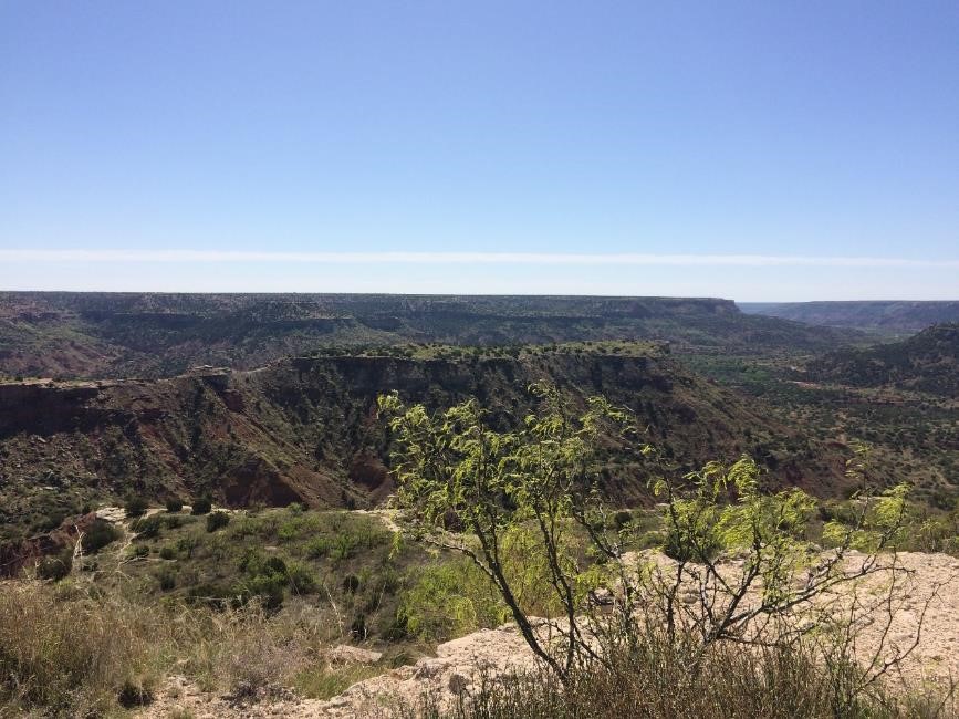 post-race-panorama-3-lsrc-2016